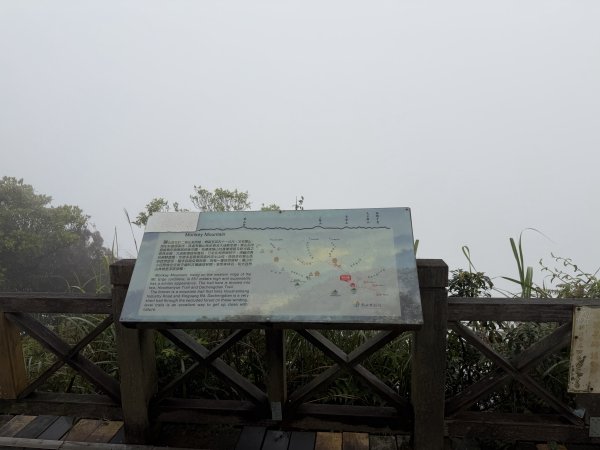 [微笑山線_第八段] 2026_0321 二格山系_二格山3020937