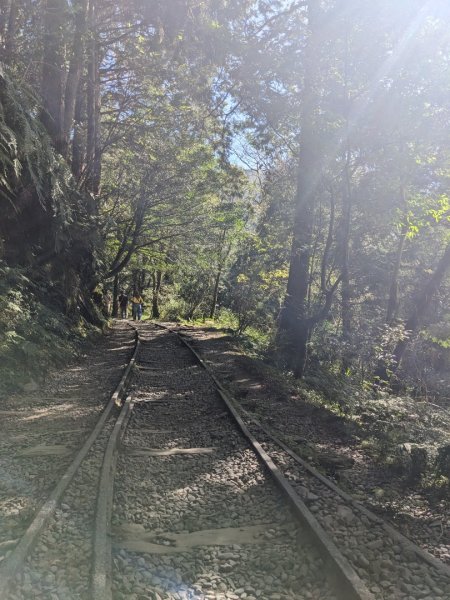 見晴懷古步道3137135