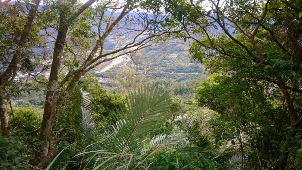 獅山古道獅頭山1589590