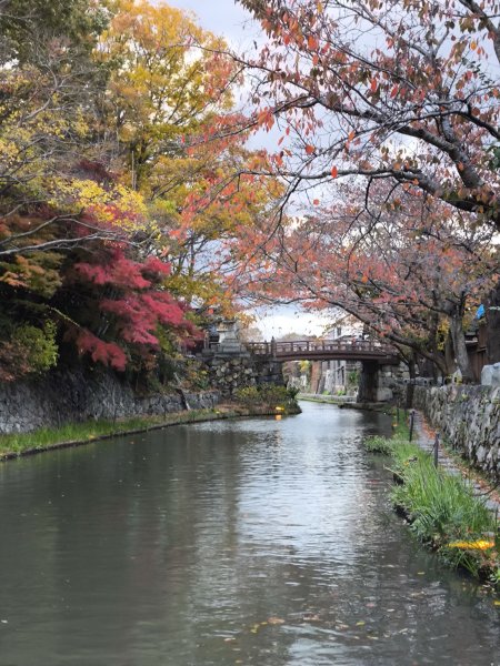 【日本健行】岡山、彥根 (近江八幡、彥根城)、姬路(書寫山圓教寺、世界遺產姬路城、好古園)2946498