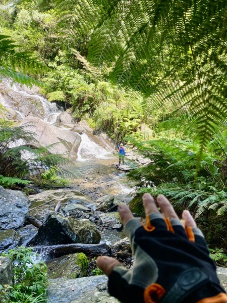 烏來阿玉溪山/西坑林道/探勘派出護管所彈藥庫遺址至獅坑橋2582008