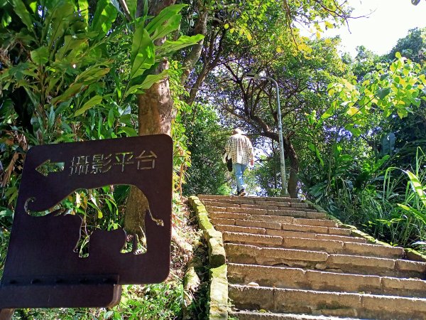 【南山神壽任務尋寶趣】國際化的象山親山步道1596481