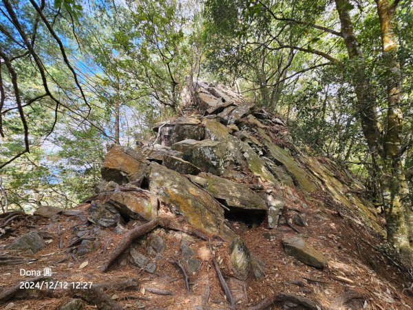 【谷關七雄】波津加(H1771.6m)肉腳配速成功2670469