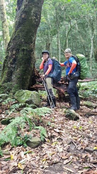 大混李棟重訓2883605