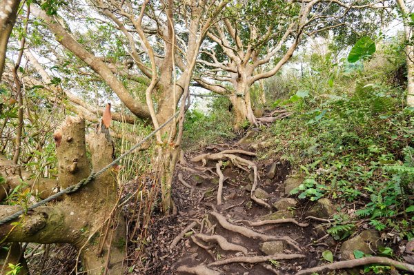 新北 八里 觀音山、牛港稜山2681325