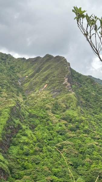 劍龍稜202510172920301