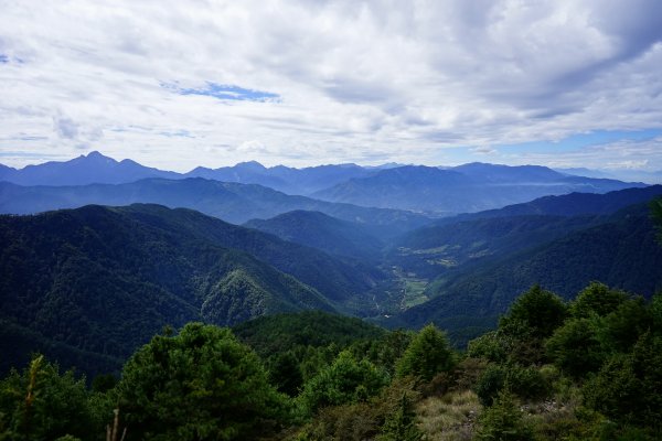 【44個理查】【桃山神木】2285545