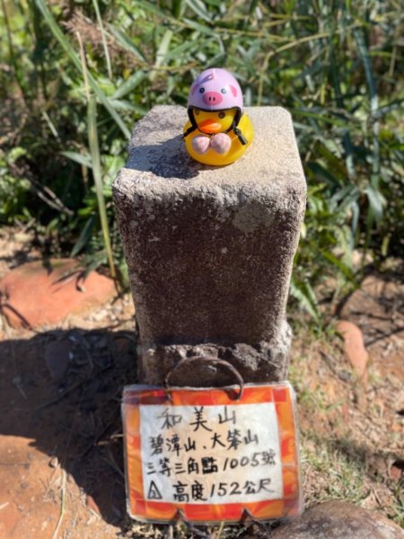 微笑山⛰️線-大棟-二格山-五分山-天上山-鳶山💎12條步道完成💙2834147