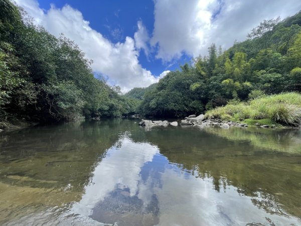 南北豹子廚山2925460