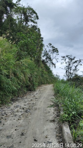 安通越嶺全段2726589