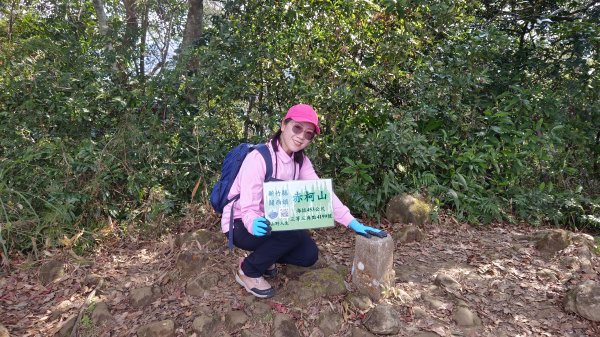 (姨婆趴趴走)第四十六集:新竹關西赤柯山及南峰、東西獅頭山、馬福山環狀縱走2685747