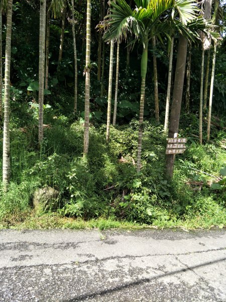 華山步道群(文學步道、1號步道)202105051414644