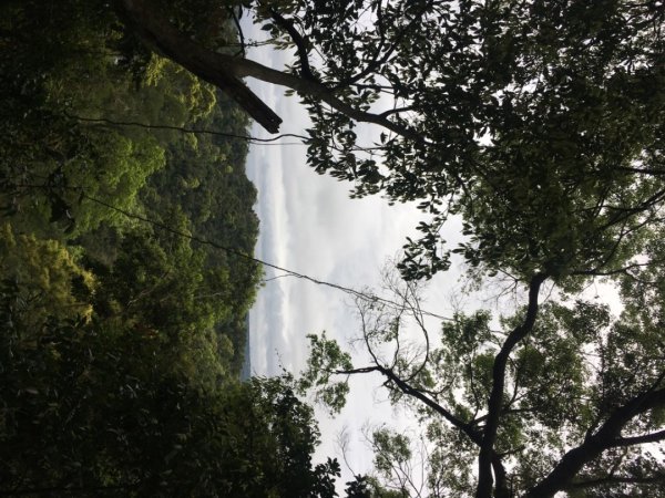 赤柯山、東獅頭山2748532