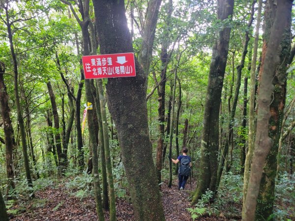 20230812 志繼山 東眼山 拉卡山 卡外山  東眼四瞳 東眼山國家森林遊樂區2245972