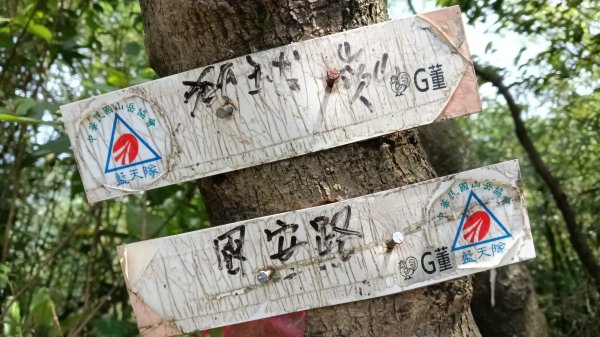 基隆市三角洲嶺山-三角洲嶺北峰-池塘-獅球嶺東砲台山-獅球嶺-獅球嶺北峰-劉銘傳隧道3067315