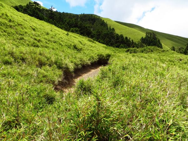 合歡西北峰(夏季北峰與母親節期西北峰)126917