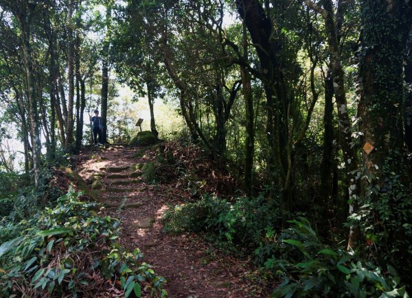 關刀山步道1348719