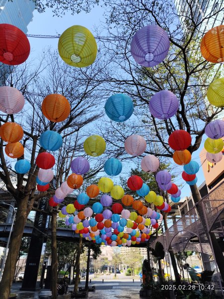 台北信義商圈步道、大港墘公園夜景2723230