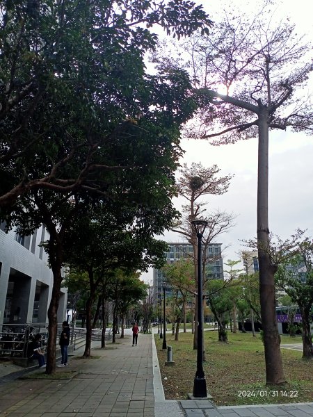 內湖大港墘公園、宏匯瑞光廣場、碧湖公園、象園咖啡內湖店、文德一號綠地、瑞陽公園2415136