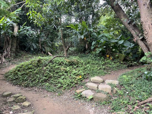 [微笑山線_第一段] 2025_0720 大棟山系_鎮遠山2843556