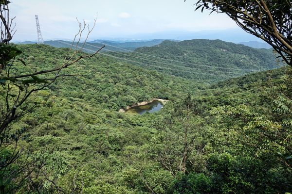 新山夢湖。五指山古道O型20180524338218