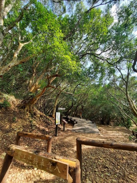 《台中》大肚環保公園登山步道、望高寮賞景1055270