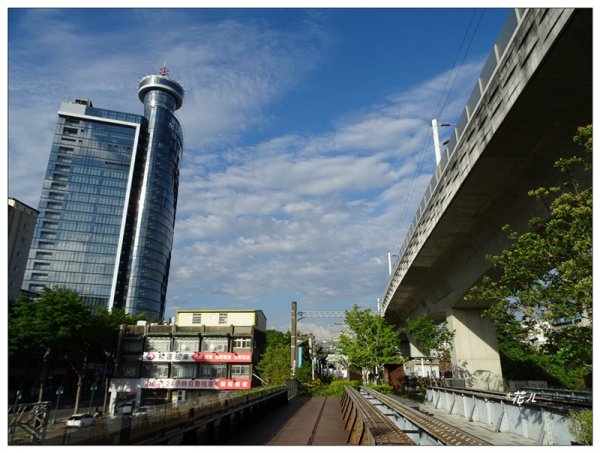 台中綠空鐵道、流蘇花開1679438