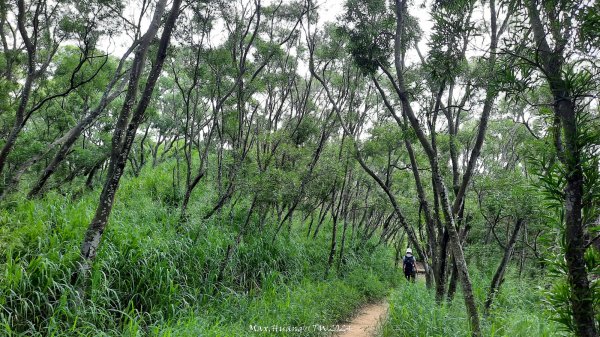 《台中》颱風前夕｜大肚環保公園登山步道(北段)202409292606725