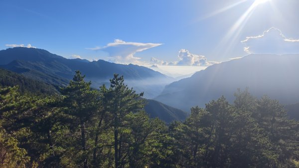 合歡山北峰 小溪營地 鷹角石 合歡北峰名樹2915336