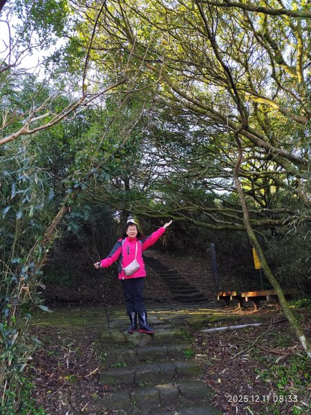 【臺北大縱走 2】【第二回合全程完成證書】鞍部→大屯山步道→大屯山主峰→大屯坪步道→二子坪步道2960348