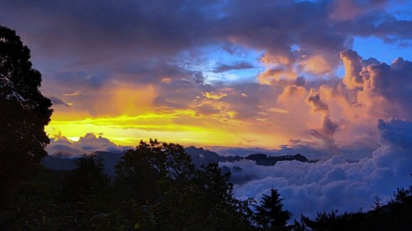 【阿里山私房景點】塔塔加夕陽下的彩霞691625