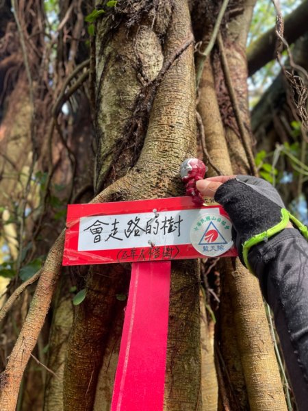 雪山尾稜-福卯古道-隆隆山-隆林山-田寮洋山-福隆O型2653747