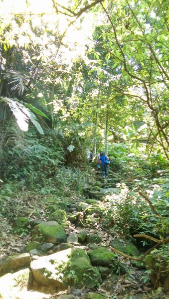 小粗坑古道+石門北口上+石門山南口下121465