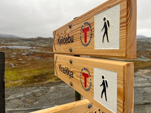 Norway-Myrdal-VATNAHALSEN HOTEL-湖邊健行2917764