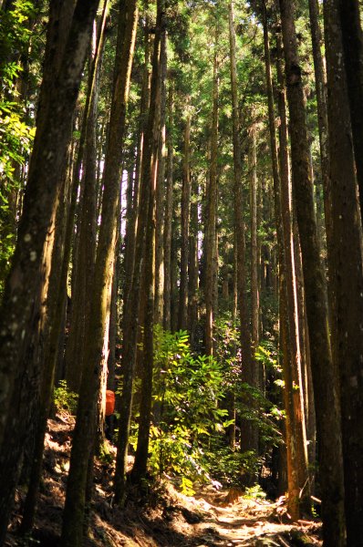 斯可巴上馬崙山832193