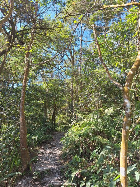 日湯真山202601042978561