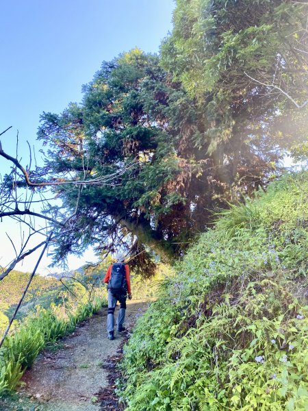 東勢卓蘭基石巡禮（大堀底.三叉坑山.穿龍.大湖桶山.內灣東.大坪頂山.大忿山.大茅坪山）1933610