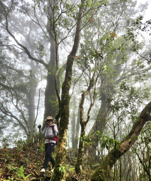 【中級山縱走】魯壁山，東穗山，大島田山，宇老觀景台2771647