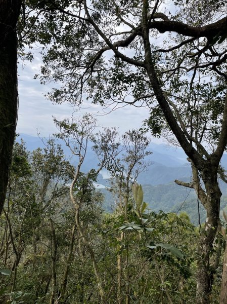 小格頭越嶺坪林2738365