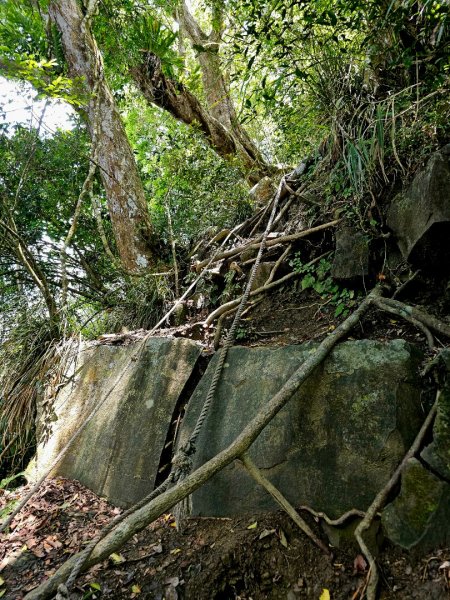 三腳南山-小百岳#65-嘉義縣大埔鄉2788695
