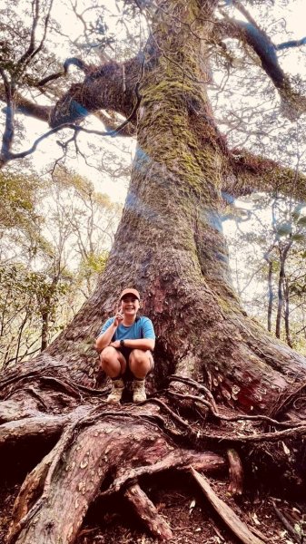 🌈4/13（日）（三）魔法森林-塔曼山~FB：熊熊趴爬走🌈2761315