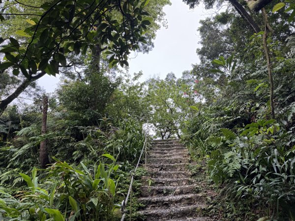 [微笑山線_第四段] 2026_0321 天上山系_天上山3020977