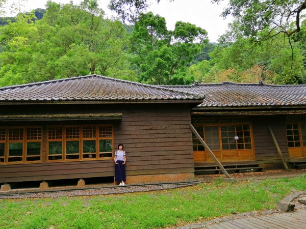 風華絕代的林業歷史。 林田山林業文化園區1041058