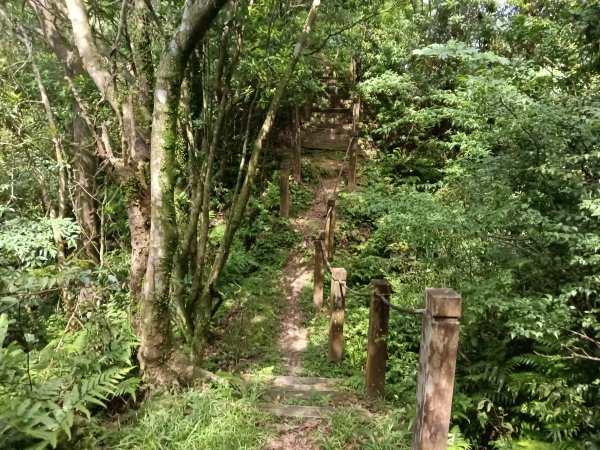 汐止區磐石嶺福興宮+581峰+雙十塔+耳空龜山+四分尾山+大尖山2805712