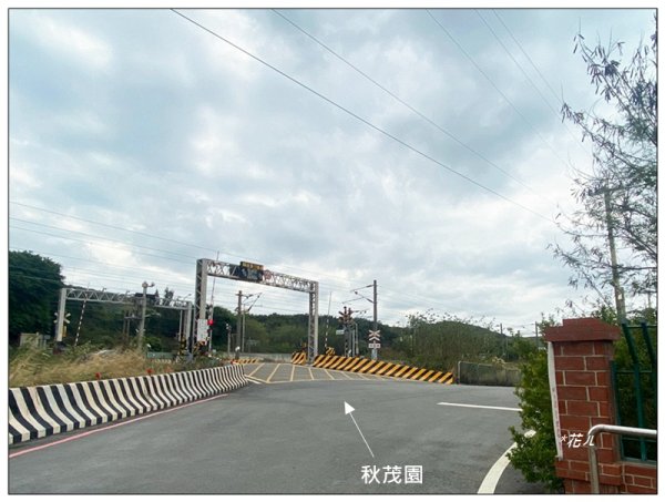 塗崁頂山、西南峰、心形公路、嶺頂步道 連走2971773