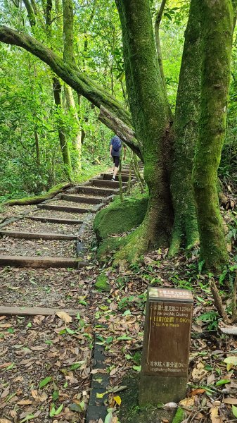 2022-0605 苗冷古道-七星公園-冷水坑-冷擎步道1727669