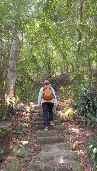 (姨婆趴趴走)第五十四集:攀登台北內湖剪刀石山、金面山2775885