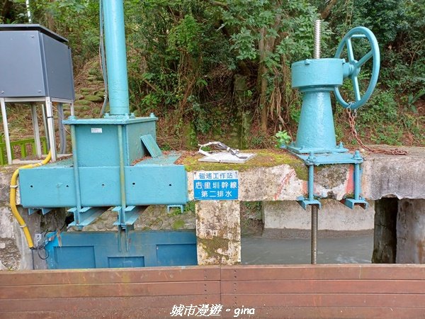 【台中外埔】沿著水圳散散步。 外埔水流東桐花步道1731436