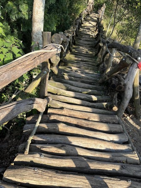 大坑二號步道2711558