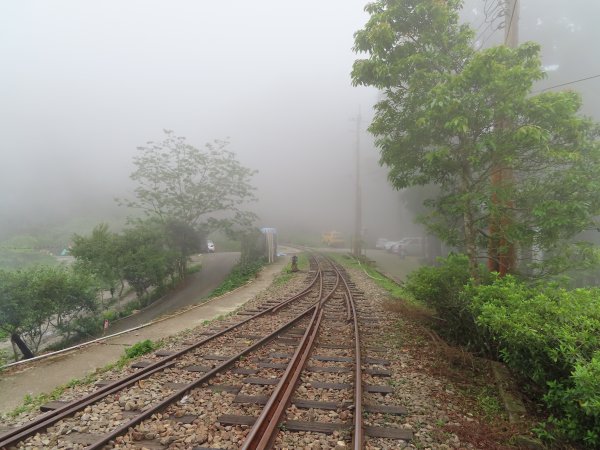 寧靜的小山村:水社寮973320